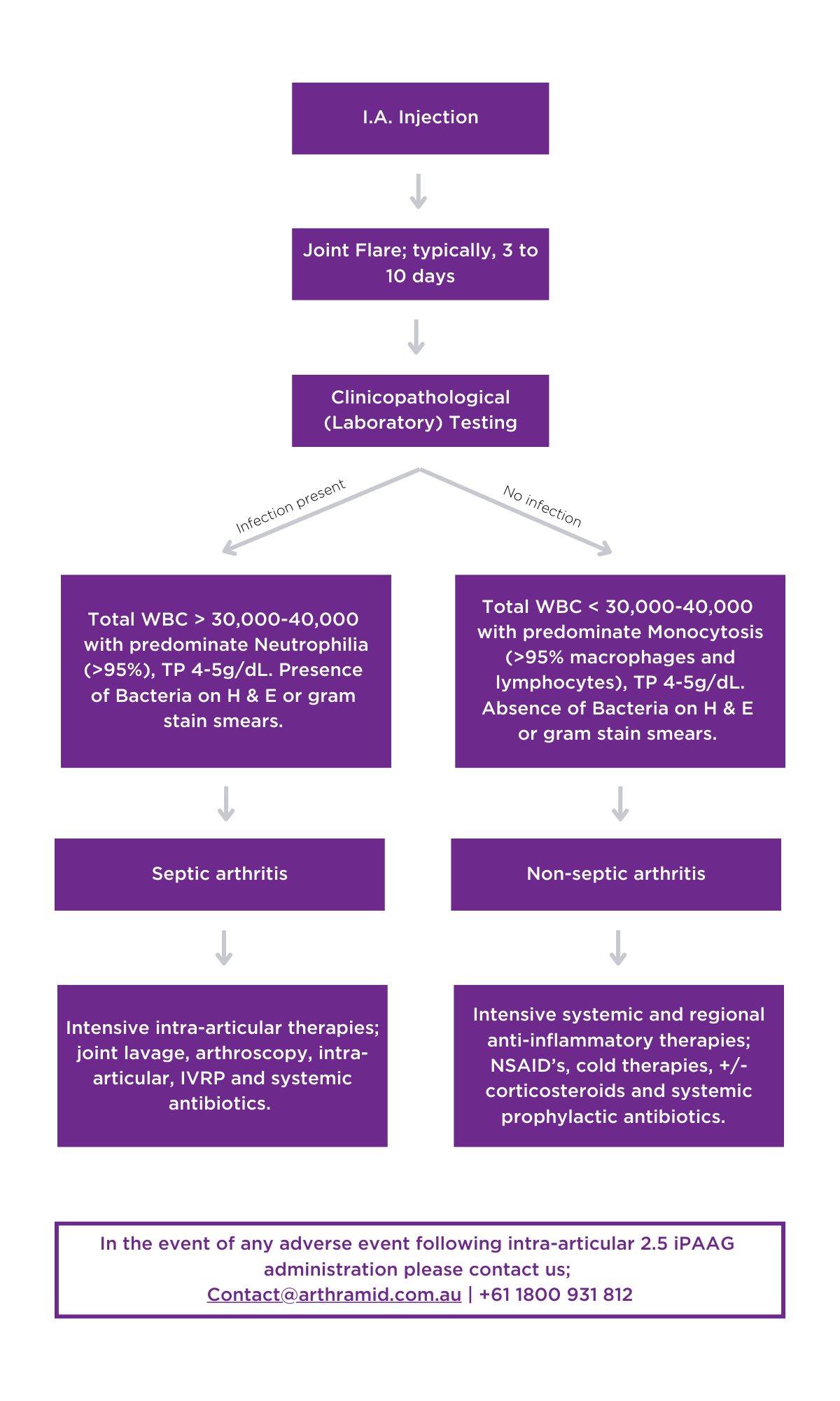 Infection flowchart